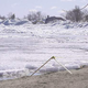 Image for article titled Freak Ice Tsunami Crunches Homes In Canada